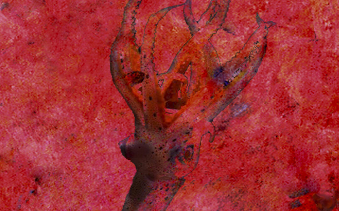 El ciervo de los enamorados – Oil on canvas cm 100×100